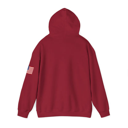 USA Hoodie |  Unisex Sweatshirt, Patriotic Casual Wear, Gift for Veterans, Eco-Friendly Clothing