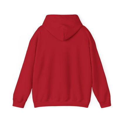 KNOWLEDGE Hoodie - Ideal for Gifts, Casual Wear, or Lounging at Home, Perfect for Fall/Winter, Customizable Style