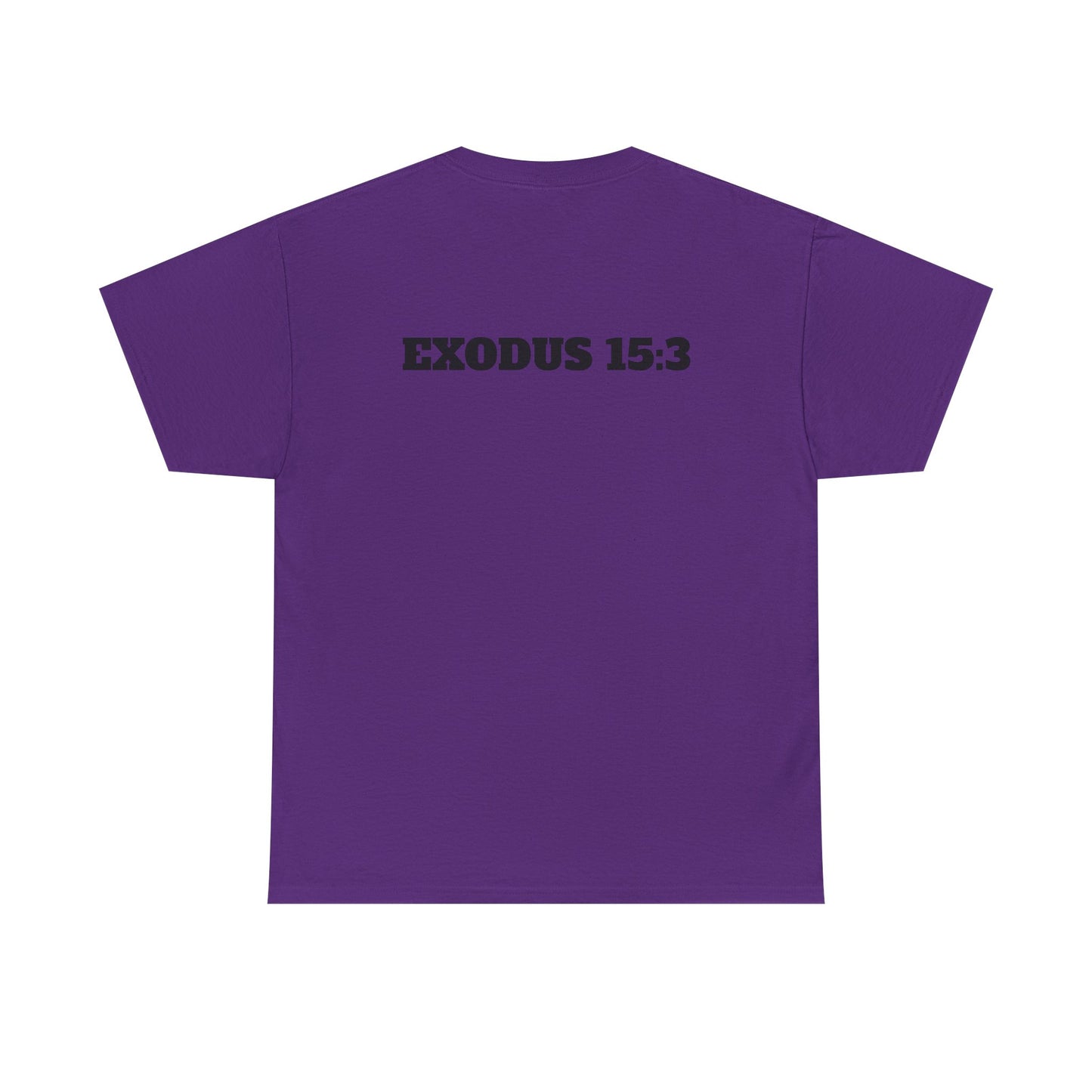 Jesus Ain't No Punk! Tee | Graphic Tee for Men, Streetwear, Casual Wear, Christian Apparel, Gift for him