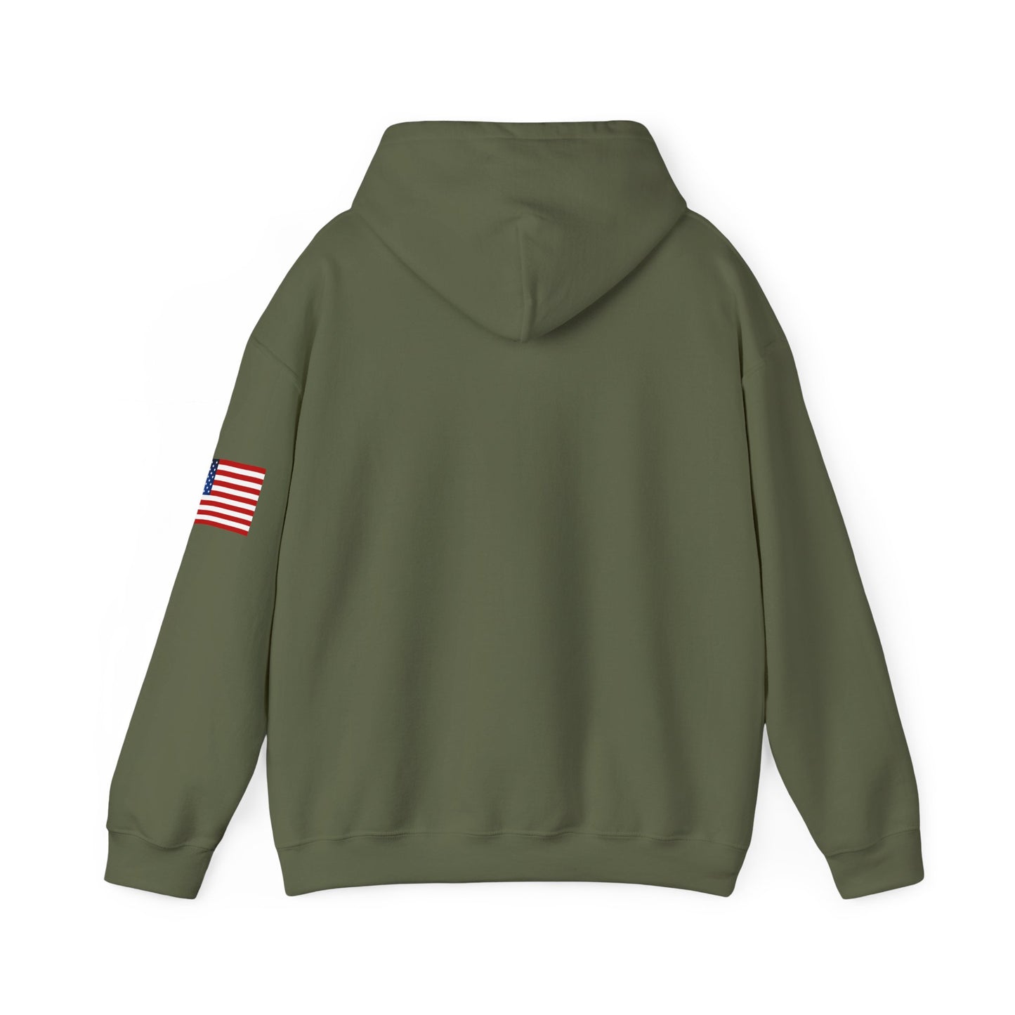 USA Hoodie, Unisex Sweatshirt for Independence Day, Patriotic Casual Wear, Gift for Veterans, Eco-Friendly Clothing