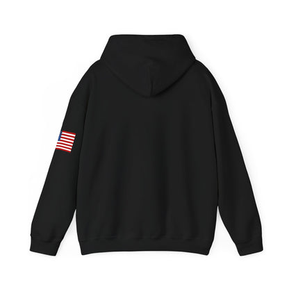 USA Hoodie |  Unisex Sweatshirt, Patriotic Casual Wear, Gift for Veterans, Eco-Friendly Clothing