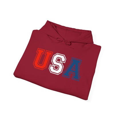 USA Hoodie |  Unisex Sweatshirt, Patriotic Casual Wear, Gift for Veterans, Eco-Friendly Clothing