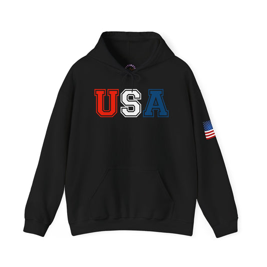 USA Hoodie |  Unisex Sweatshirt, Patriotic Casual Wear, Gift for Veterans, Eco-Friendly Clothing