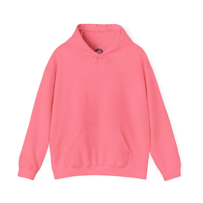 PREMIUM FALL COLORS |  Cozy Unisex Heavy Blend Hooded Sweatshirt, Perfect for Fall and Winter, Casual Wear