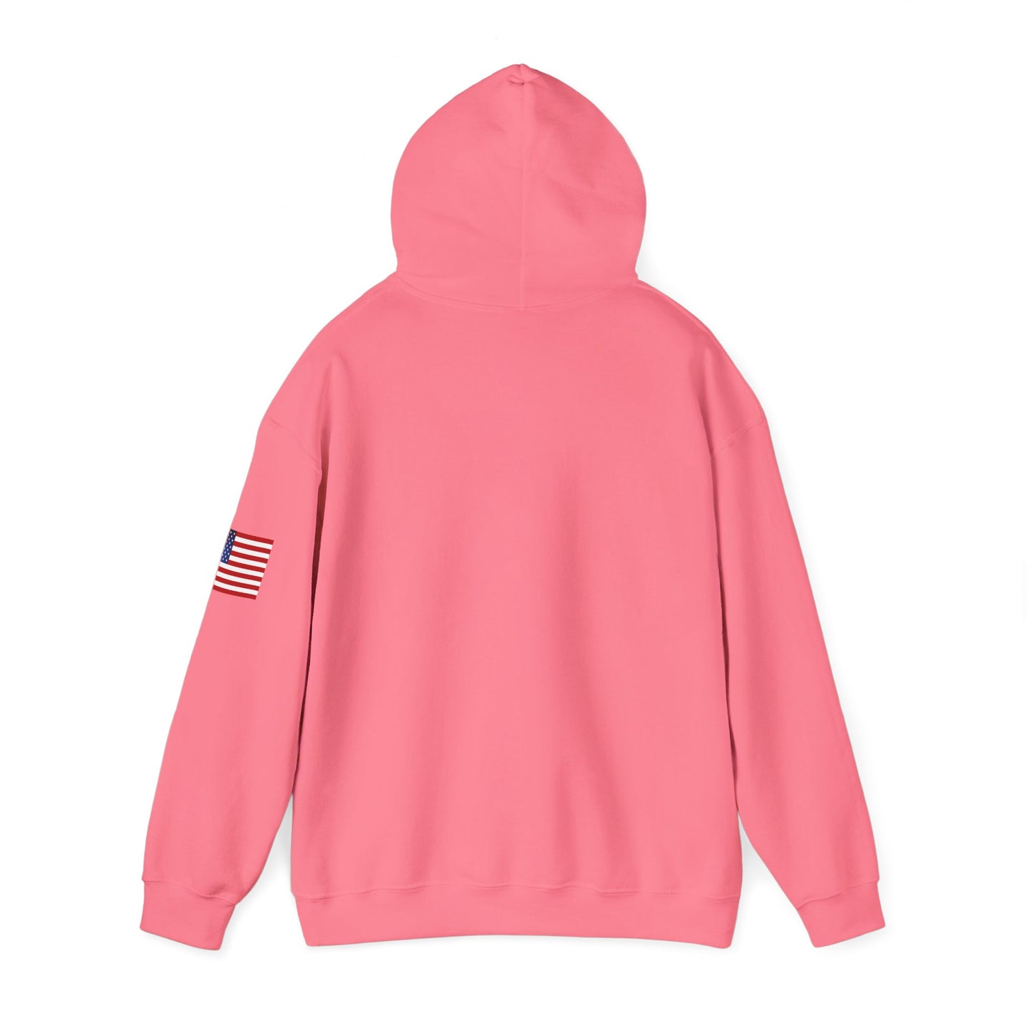 USA Hoodie |  Unisex Sweatshirt, Patriotic Casual Wear, Gift for Veterans, Eco-Friendly Clothing