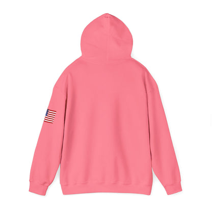 USA Hoodie |  Unisex Sweatshirt, Patriotic Casual Wear, Gift for Veterans, Eco-Friendly Clothing