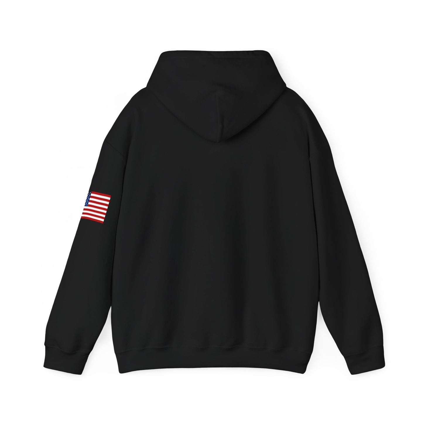 USA Hoodie |  Unisex Sweatshirt, Patriotic Casual Wear, Gift for Veterans, Eco-Friendly Clothing