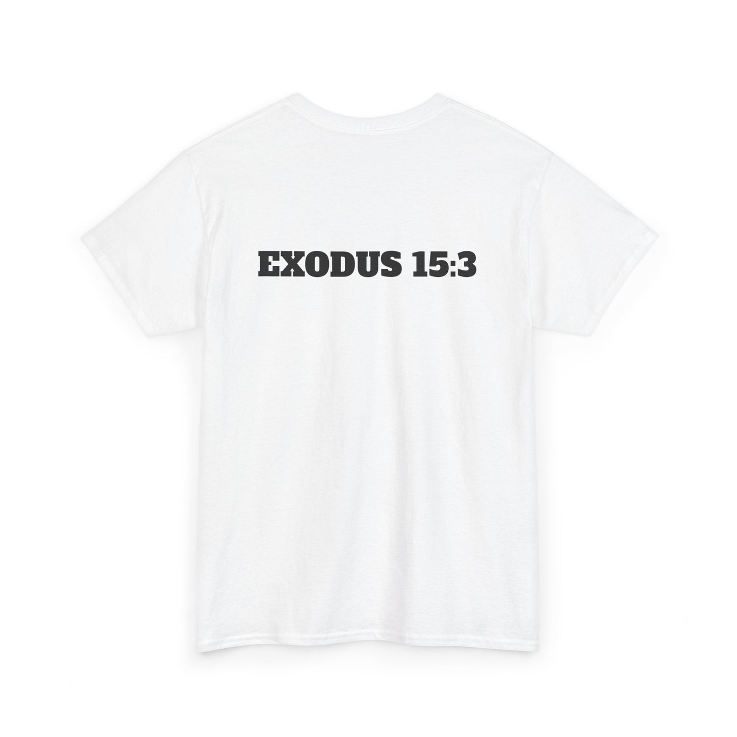 Jesus Ain't No Punk! Tee | Graphic Tee for Men, Streetwear, Casual Wear, Christian Apparel, Gift for him