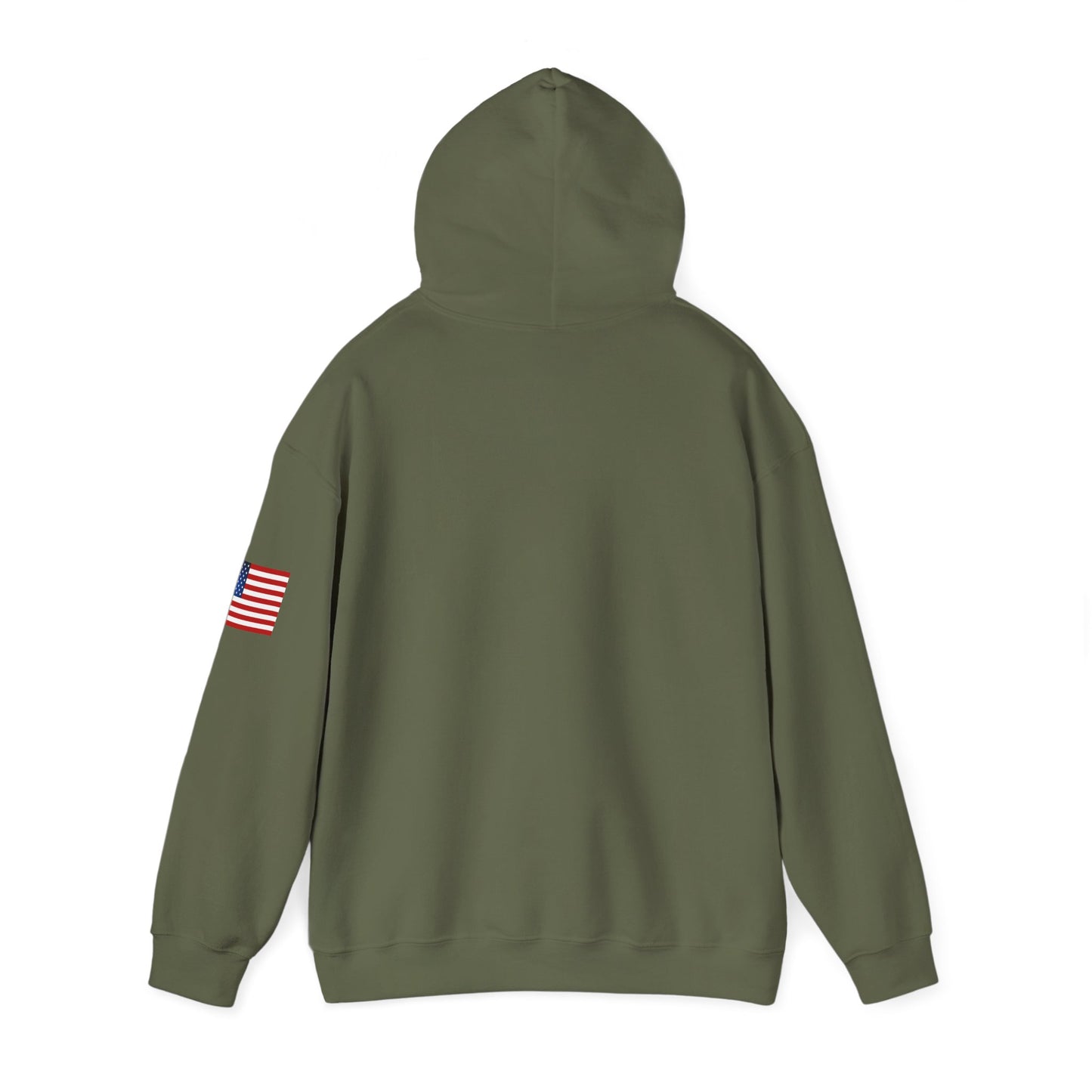 USA Hoodie |  Unisex Sweatshirt, Patriotic Casual Wear, Gift for Veterans, Eco-Friendly Clothing