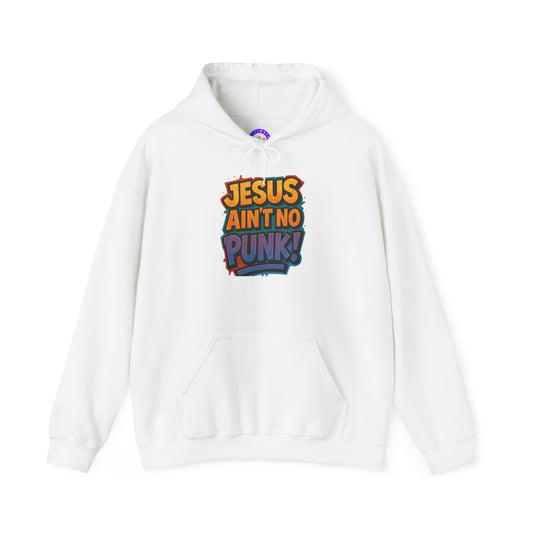 Jesus Ain't No Punk! Hoodie, Unisex Sweatshirt, Funny Christian Gift, Casual Wear, Streetwear Style, Unique Religious Apparel