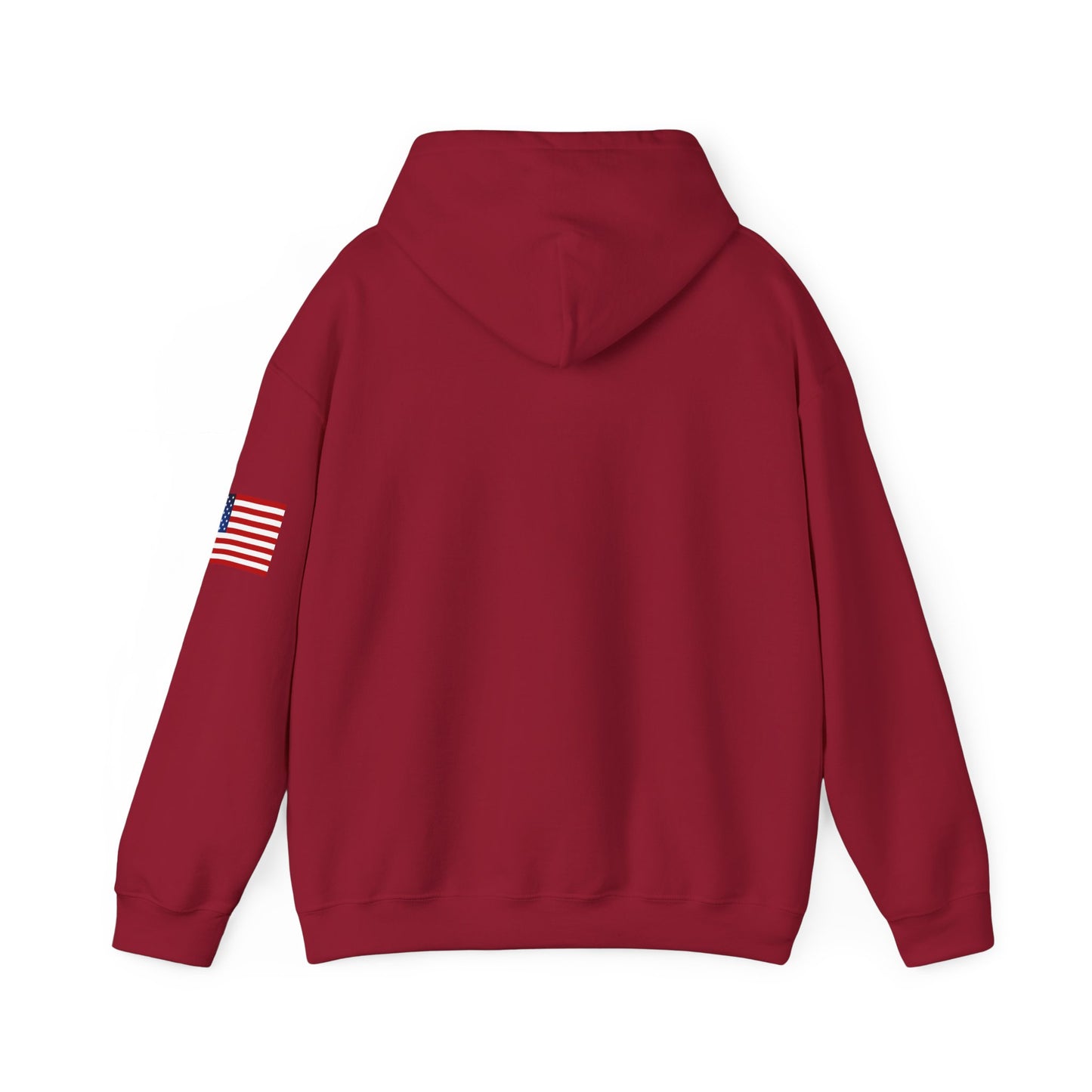 USA Hoodie |  Unisex Sweatshirt, Patriotic Casual Wear, Gift for Veterans, Eco-Friendly Clothing