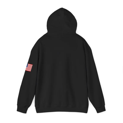USA Hoodie |  Unisex Sweatshirt, Patriotic Casual Wear, Gift for Veterans, Eco-Friendly Clothing