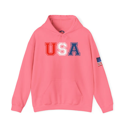 USA Hoodie |  Unisex Sweatshirt, Patriotic Casual Wear, Gift for Veterans, Eco-Friendly Clothing