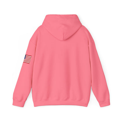 USA Hoodie |  Unisex Sweatshirt, Patriotic Casual Wear, Gift for Veterans, Eco-Friendly Clothing