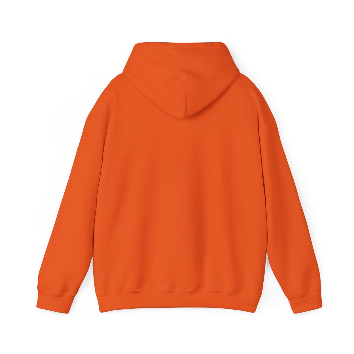 CUSTOMIZABLE COLORS HOODIE | Add Your Personal Touch | Cozy Gift for Special Occasions