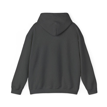 GRAJUATE HOODIE  | Unisex College Hoodie, Cozy Graduate Sweatshirt, Perfect Gift for Graduates, Funny Graduation apparel
