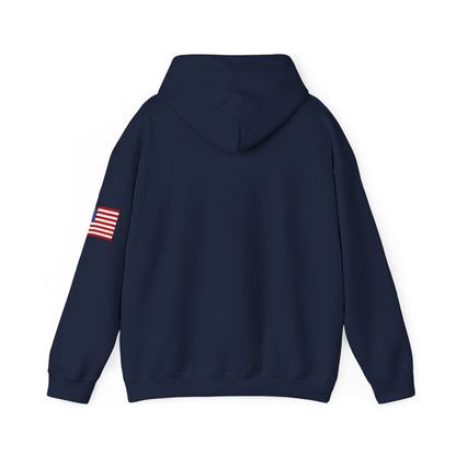 USA Hoodie |  Unisex Sweatshirt, Patriotic Casual Wear, Gift for Veterans, Eco-Friendly Clothing
