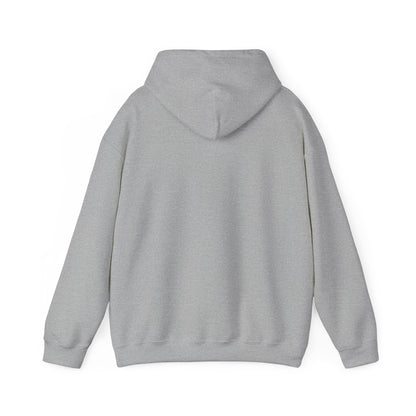PREMIUM FALL COLORS |  Cozy Unisex Heavy Blend Hooded Sweatshirt, Perfect for Fall and Winter, Casual Wear