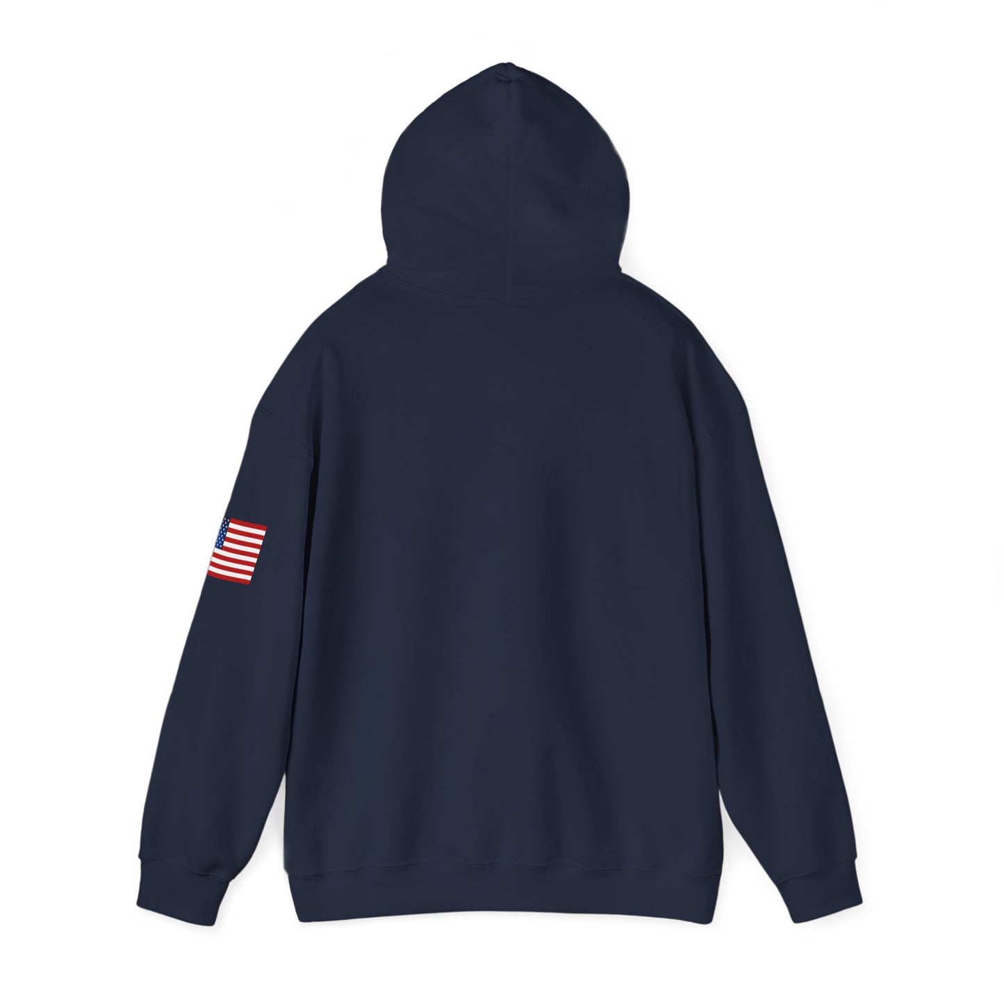 USA Hoodie |  Unisex Sweatshirt, Patriotic Casual Wear, Gift for Veterans, Eco-Friendly Clothing