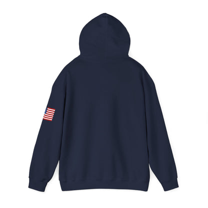 USA Hoodie |  Unisex Sweatshirt, Patriotic Casual Wear, Gift for Veterans, Eco-Friendly Clothing
