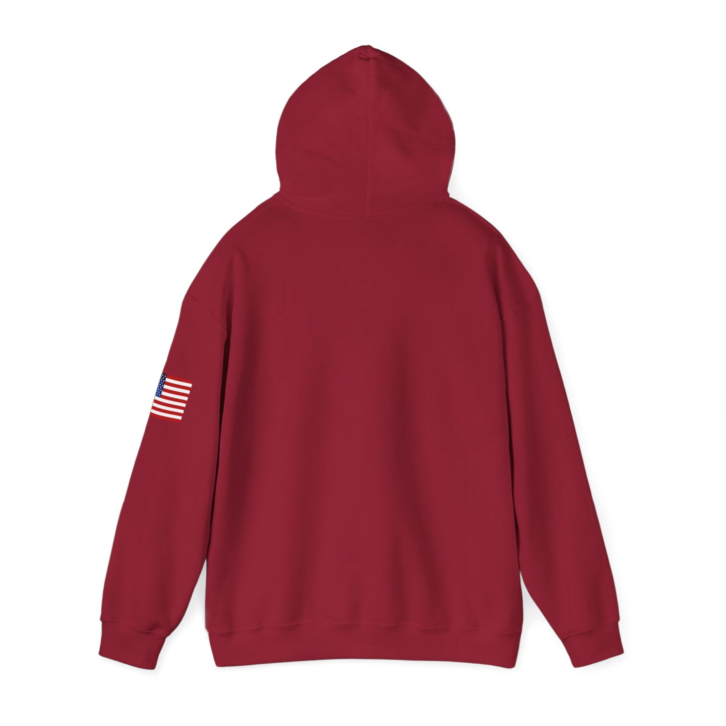 USA Hoodie |  Unisex Sweatshirt, Patriotic Casual Wear, Gift for Veterans, Eco-Friendly Clothing
